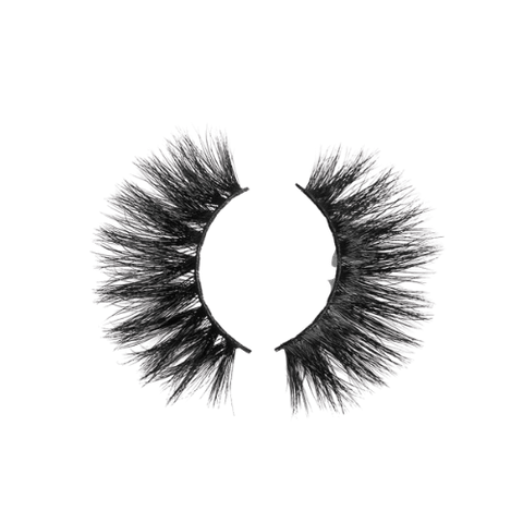 The Collection – Lashes B Hefty